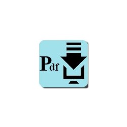 Les équipes Z dans la Défense Passive. Recherche sur l'identification d'un insigne Police.